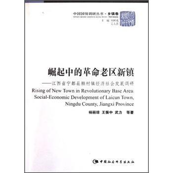 social杨丽琼经济畅销书图书籍中国社会科学出版社9787516103098